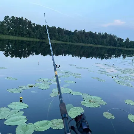 Nini House Swietajno *