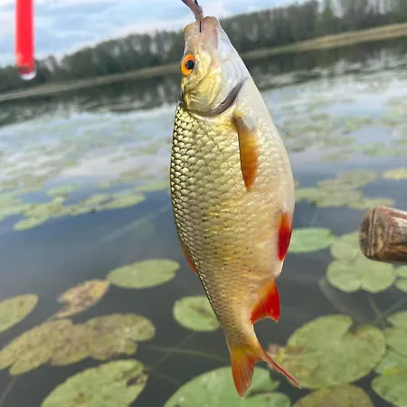 Nini House Swietajno Villa *