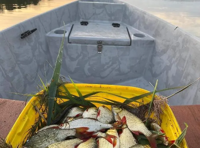 Nini House Swietajno Olecko