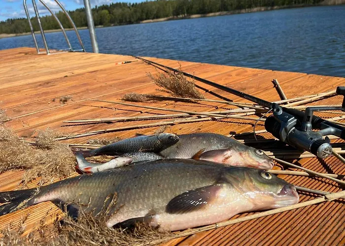 Villa Nini House Swietajno *